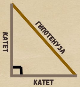 Катет и гипотенуза